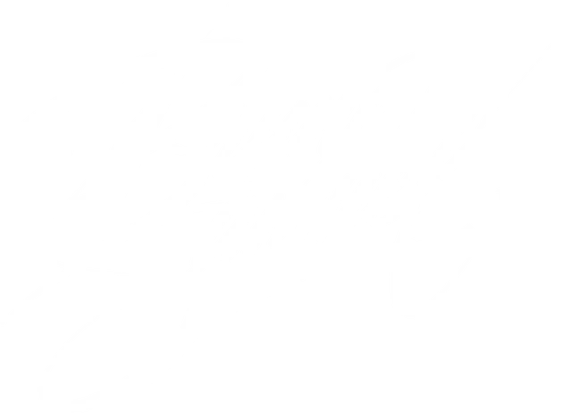 Bruno Samuel signature